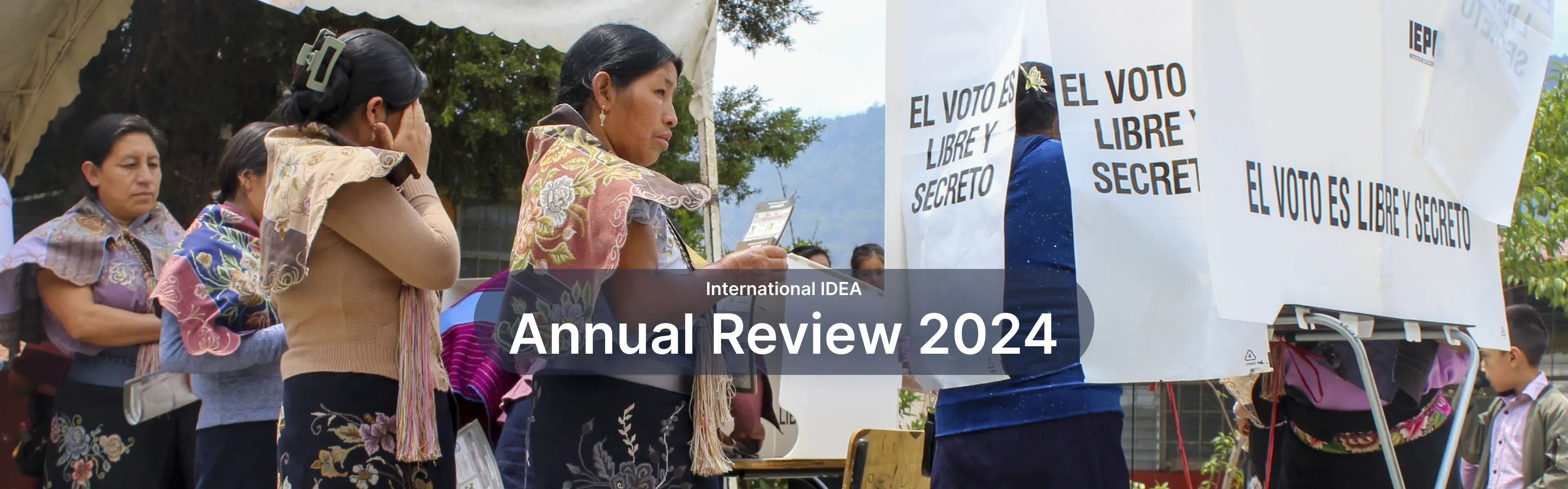 Annual Review Cover Image 2024